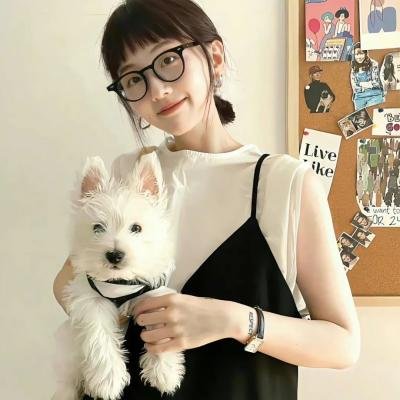 魅影追击