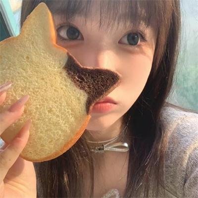 盗贼生涯
